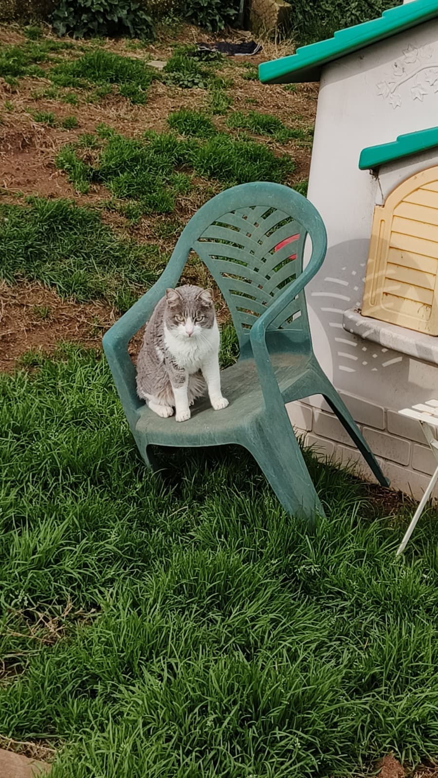 Sostegno all'associazione