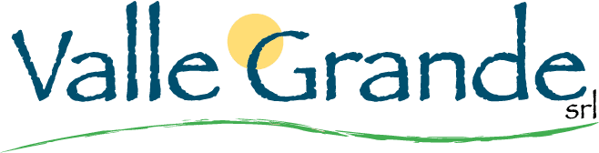 Logo Valle Grande cani e gatti